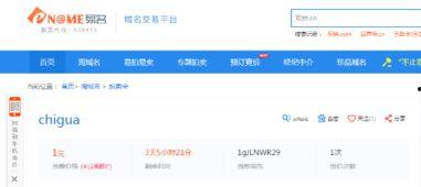 吃瓜网新域名,探索网络世界的全新入口