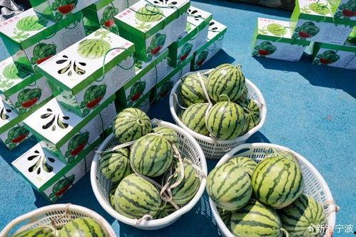 康县网红吃瓜店子